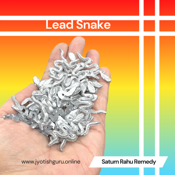Lead Snake for Rahu Saturn (12 Piece)